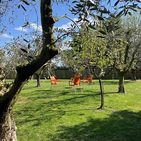 Le Residenze Del Lugana