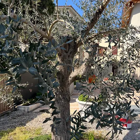 Le Residenze Del Lugana